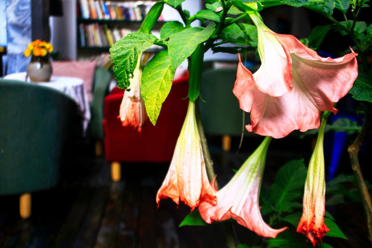 Dali Lao Shay Youth Hostel エクステリア 写真