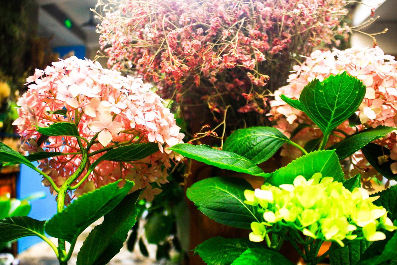 Dali Lao Shay Youth Hostel エクステリア 写真