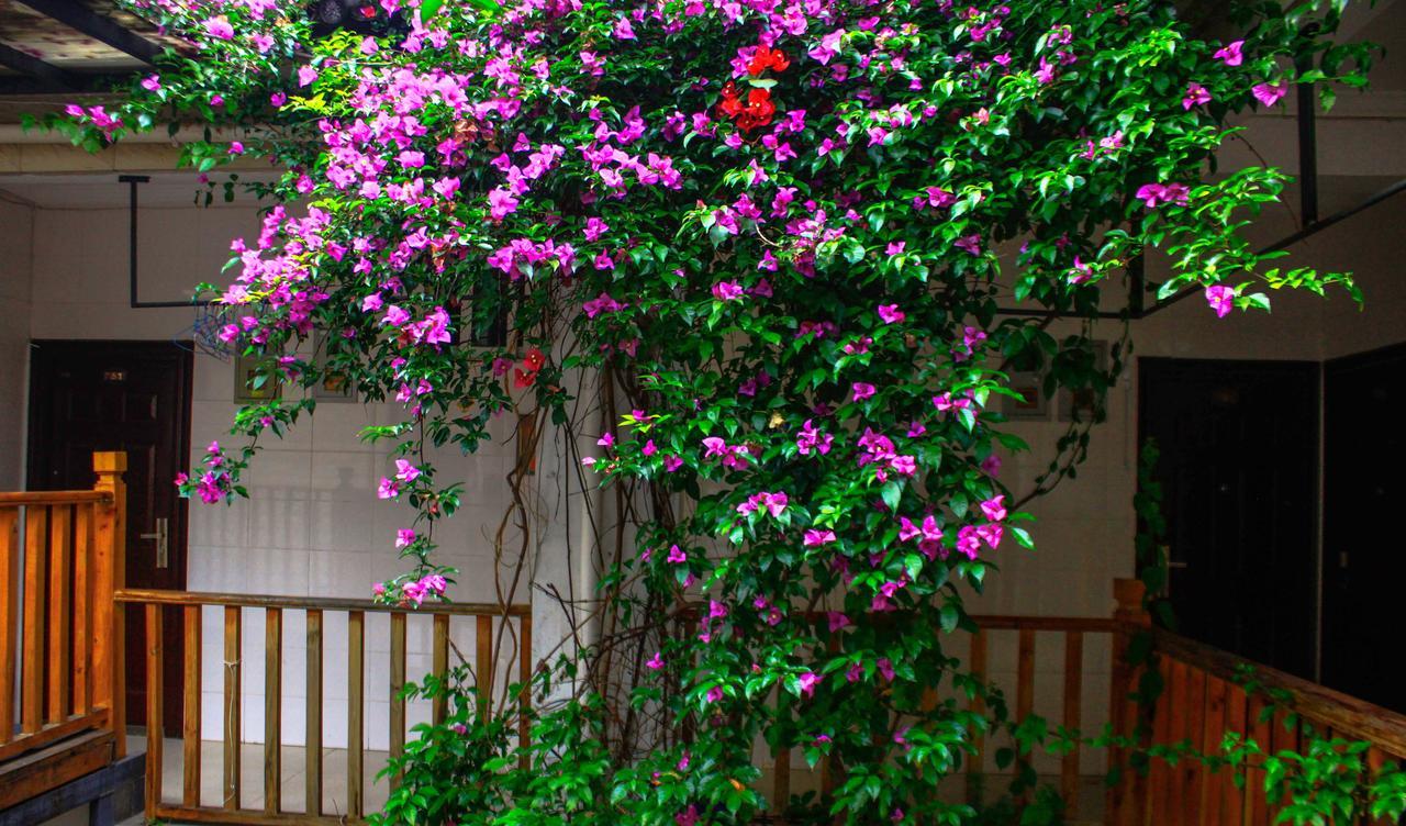 Dali Lao Shay Youth Hostel エクステリア 写真
