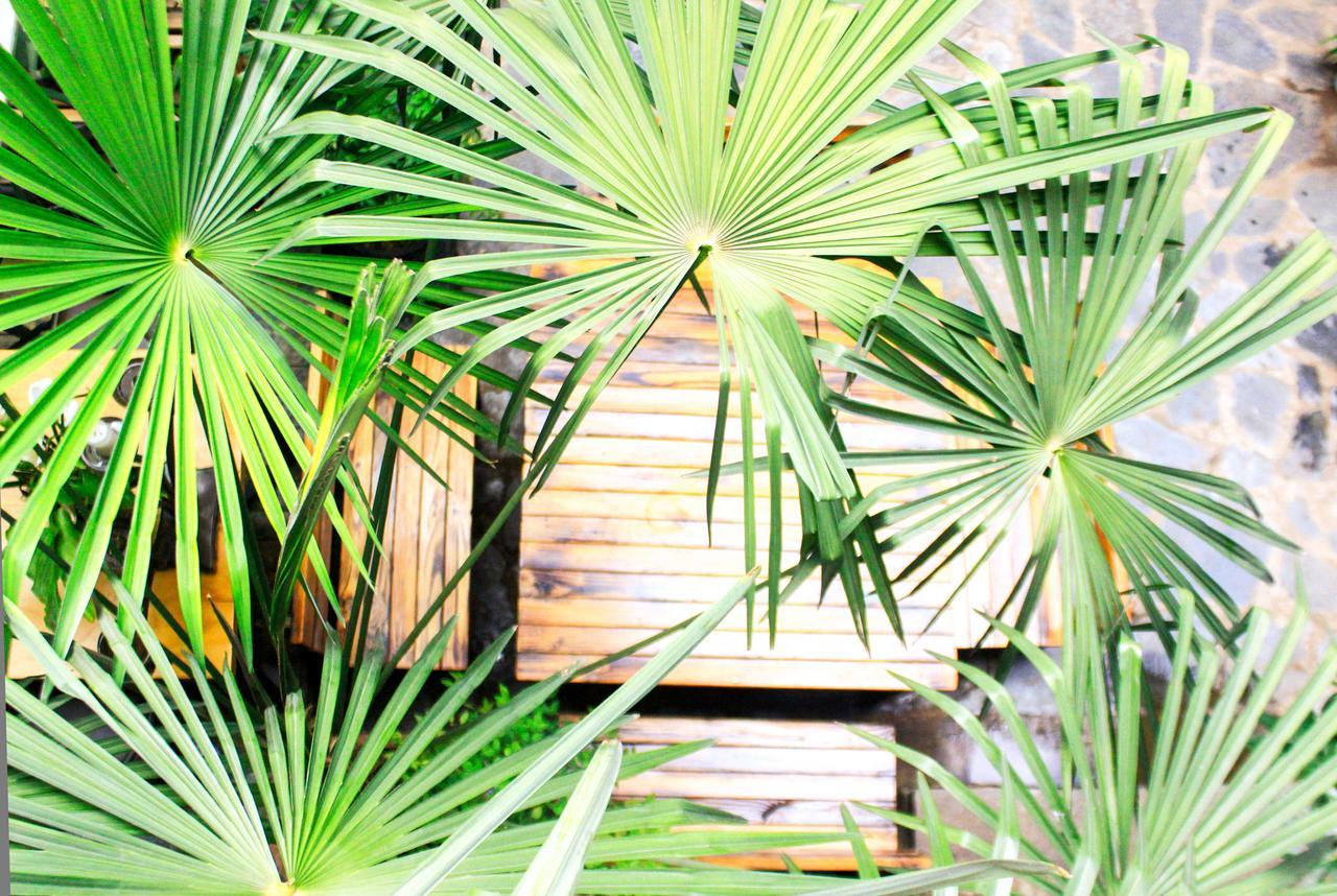 Dali Lao Shay Youth Hostel エクステリア 写真